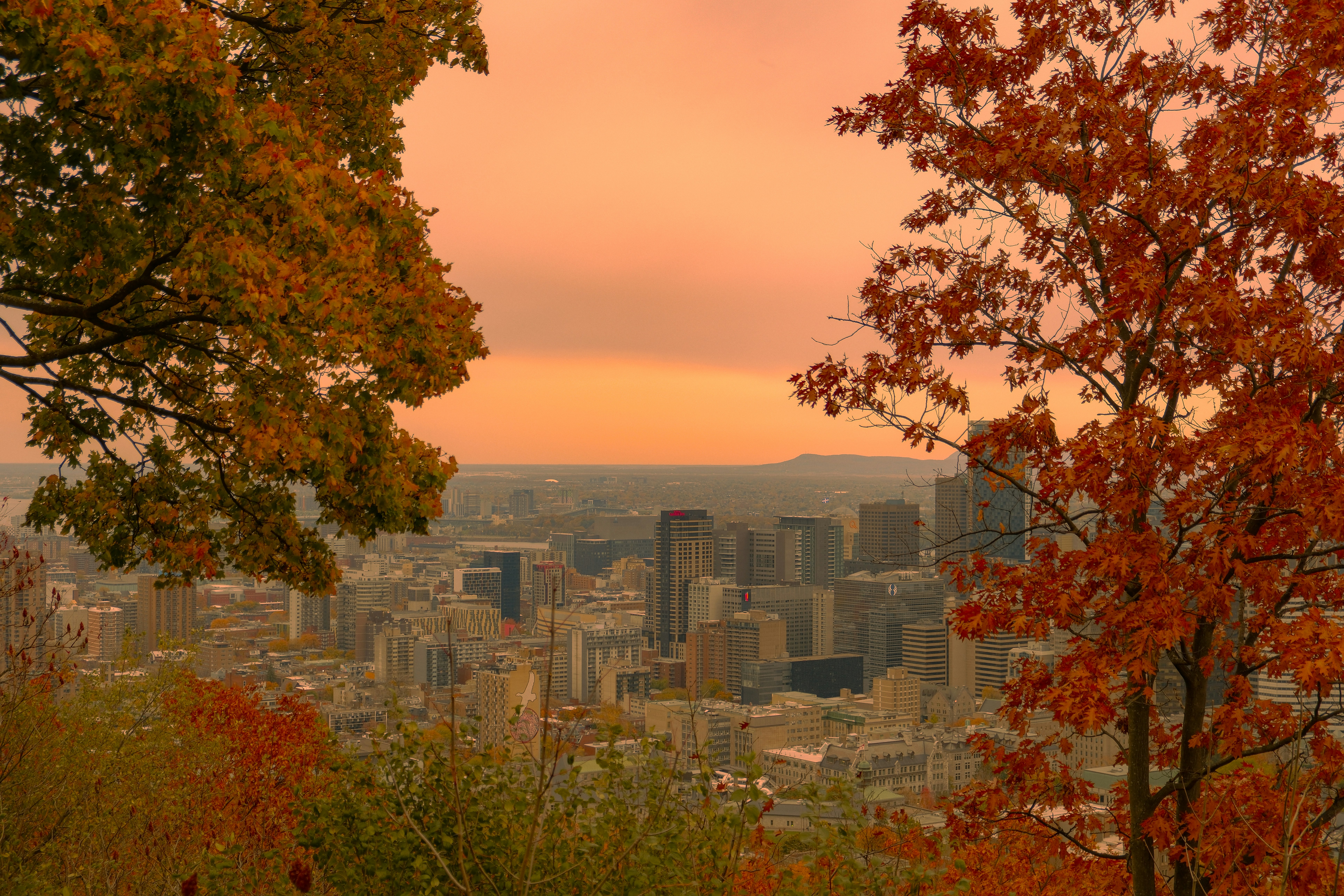 The Montreal skyline seen from Mont Royal at sunset, framed by fall foliage