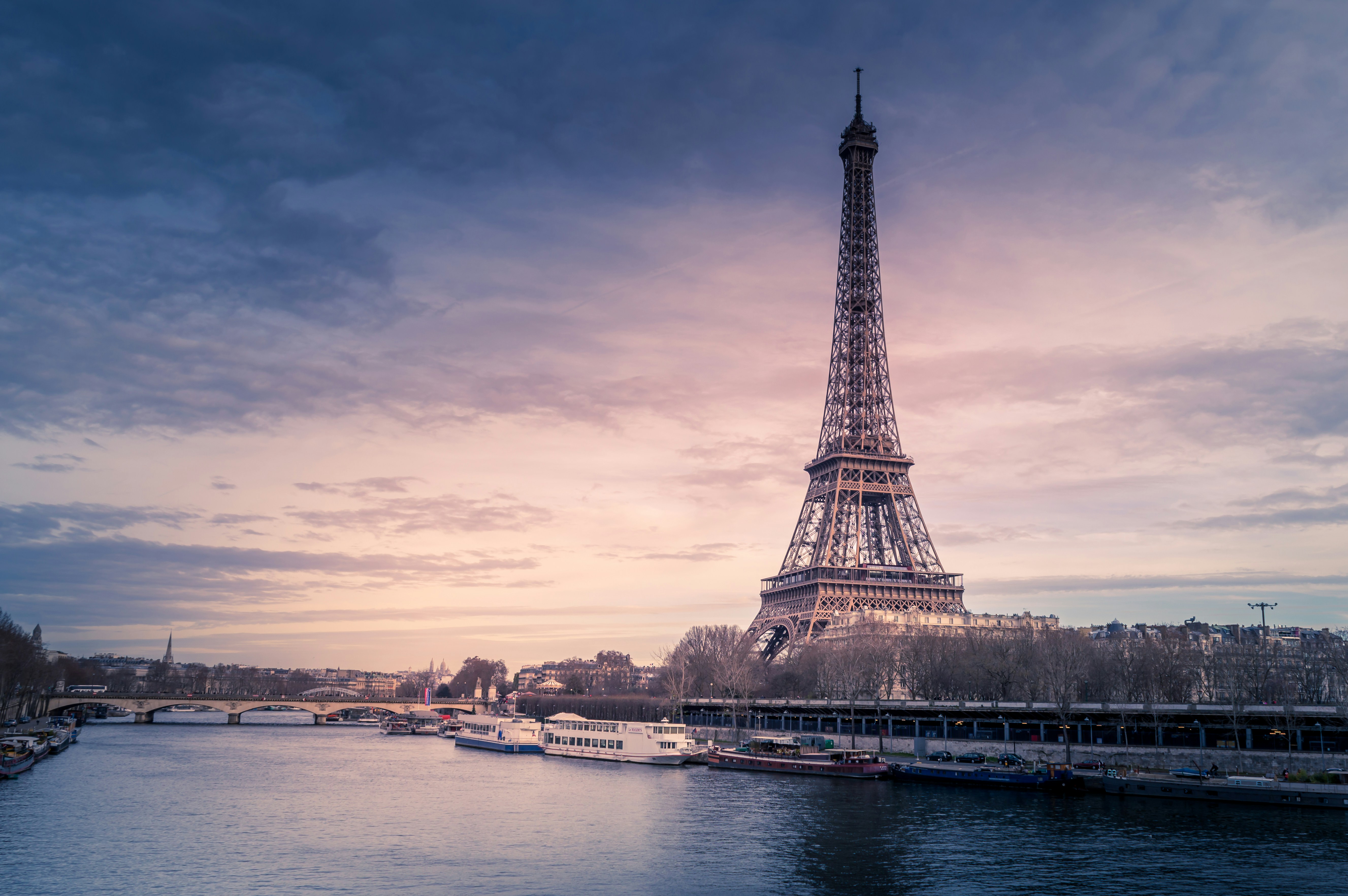 The Eiffel Tower rising above the rooftops of Paris