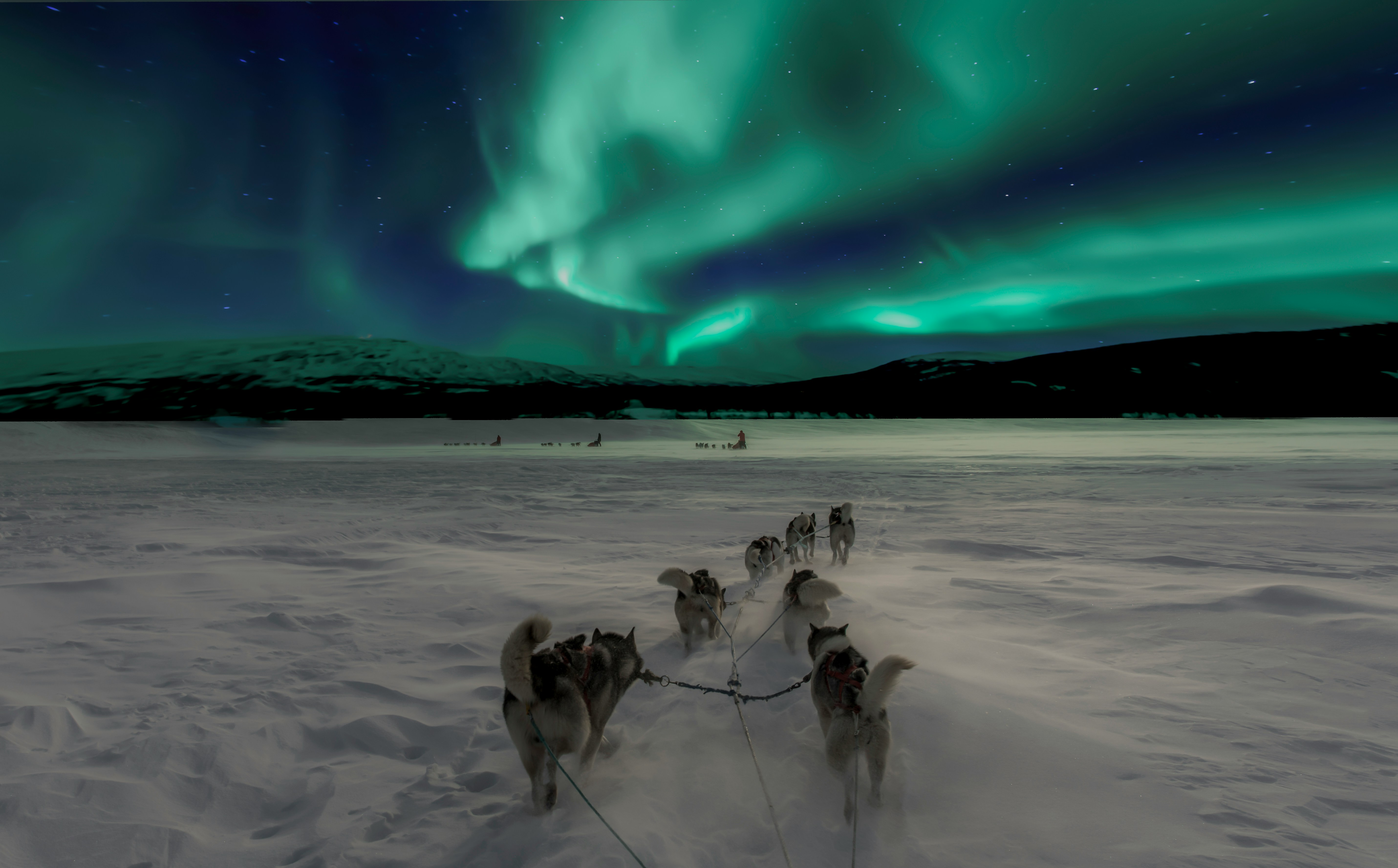 Dog sledding under the Northern Lights in northern Norway, a streak of green light crossing the dark sky