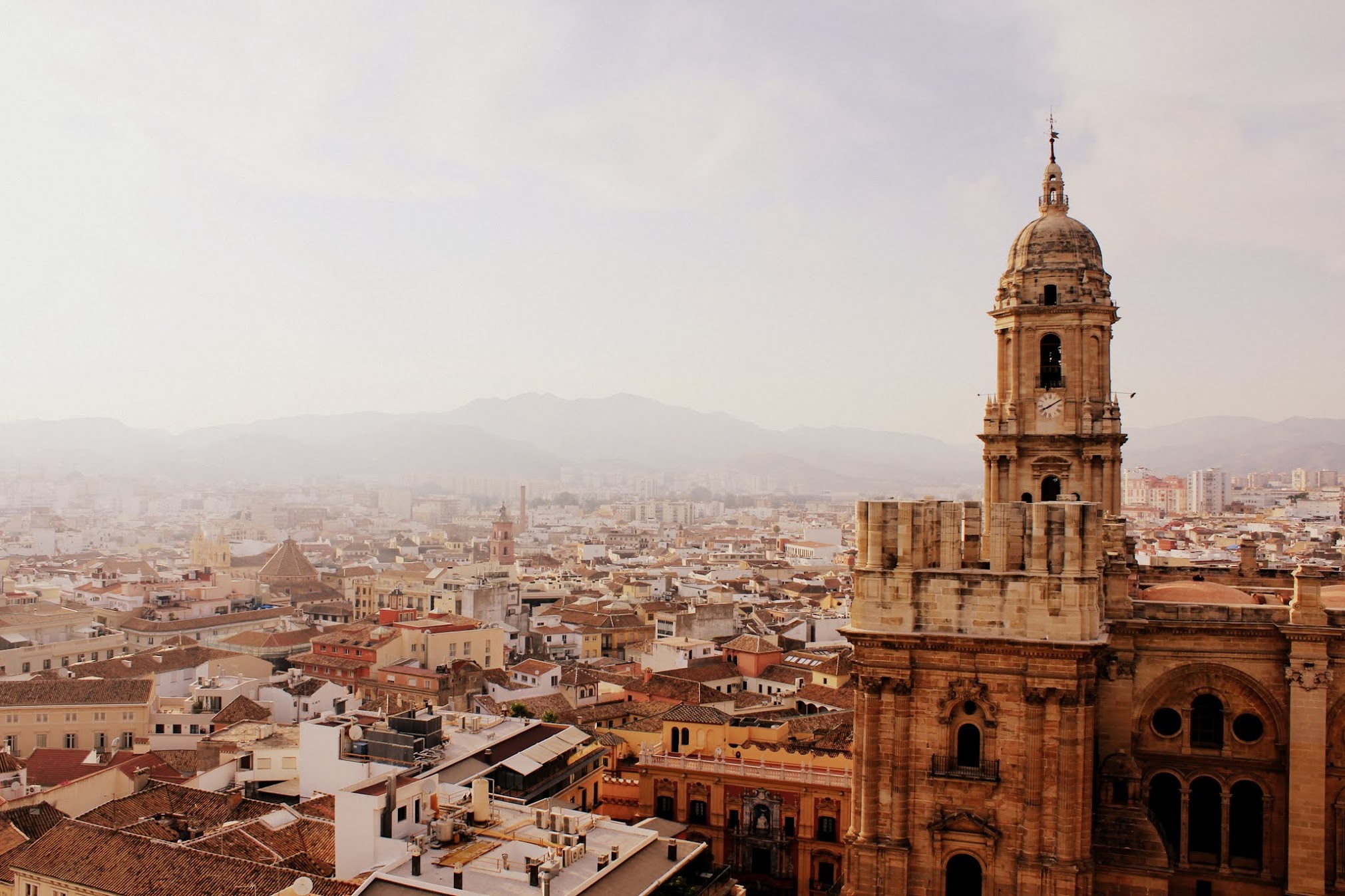 The baroque tower of M&aacute;laga Cathedral rising above the rooftops of the old city, mountains visible through morning haze in the background